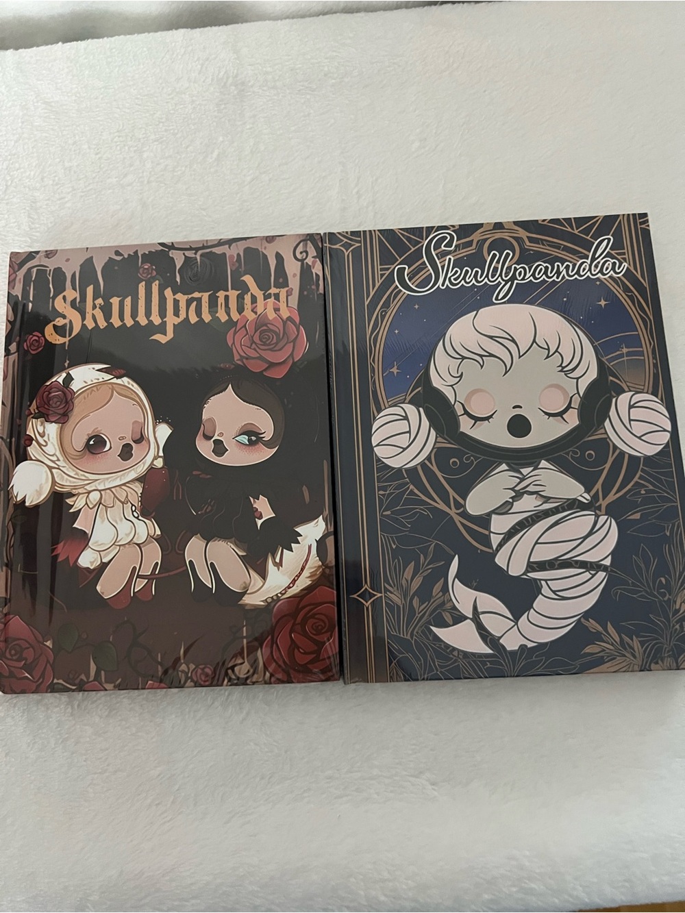 Skullpanda notebooks:)